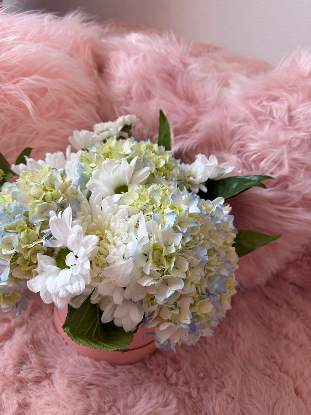 Diva Flaura Signature Bloom Box